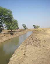 Picture of canal in Logone Floodplain.